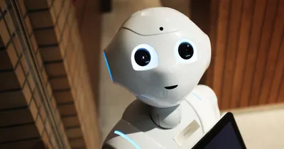Bots, spam et testeurs de CB : 261 interventions pour protéger les boutiques en ligne